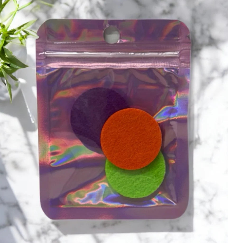 Ice Fairy Hoover Discs