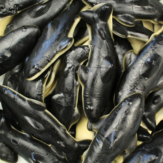 Giant Jelly Orcas